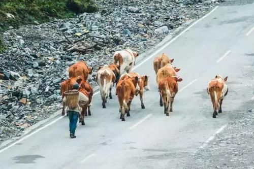 5个国内冷门旅行地，人少景美，犹如人间仙境