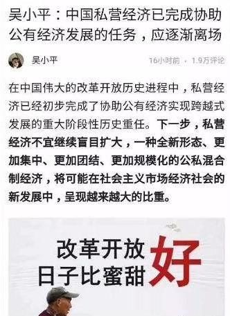 吴小平：中国私营经济已完成协助公有经济发展的任务，应逐渐离场