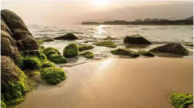 海南九大湾区对比，看看谁才是你心中的NO.1？