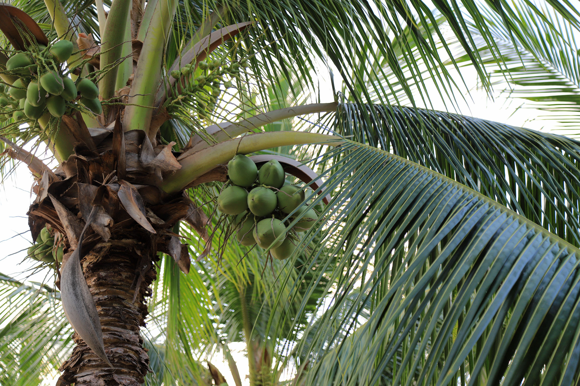 【遇上一座城】请到天涯海角来,一起去看比基尼大长腿的三亚微游