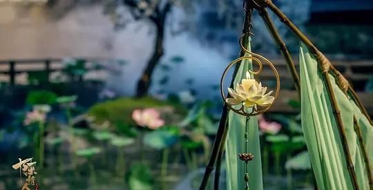 『努力』人生第一次追剧《陈情令》