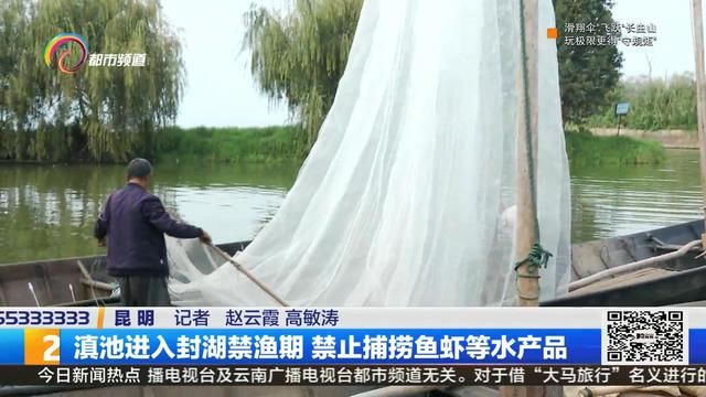 [鱼虾]滇池进入封湖禁渔期，禁止捕捞鱼虾等水产品