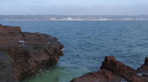 国内最美的滨海城市，传销之都的北海，却成为热门“避寒”之地！