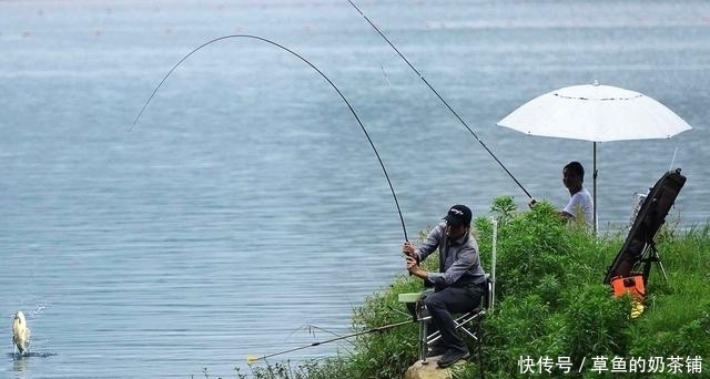 『钓点』秋季垂钓“鲤鱼”无处入手?找找这四个钓点,不到一分钟黑漂上鱼