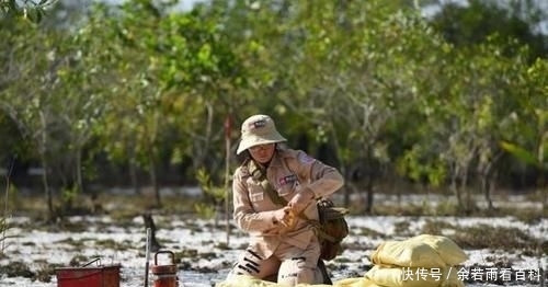  [地下]越南女性从事扫雷！越战结束45年地下仍埋300万枚爆炸物