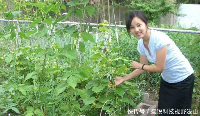  农业社会@老人说“5谷4体不分者属庸人”，5谷4体是啥，70后都不