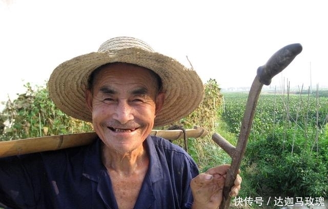  #猪肉#农村散养户还在养猪吗？现在养猪到底划不划算？听听老农