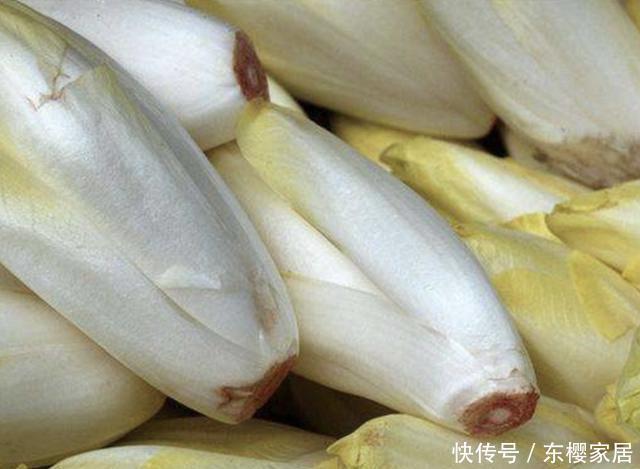  漂亮|夏天，在家种植1种“废根”，20天后变成“黄金菜”，比月季漂亮