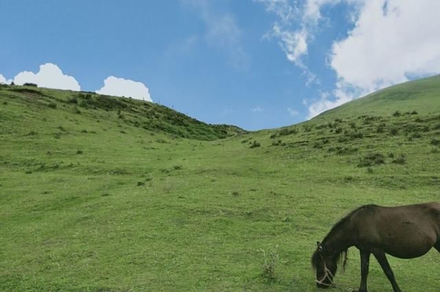 今年夏天，贵州突如其来地火了!