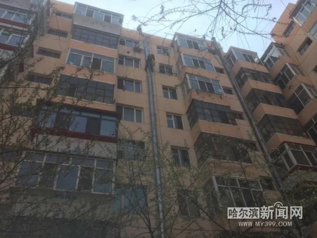  【蜘蛛人】蜘蛛人＋直臂机丨节日不放假，道里集中拆除高空烟囱、违法扩建阳台