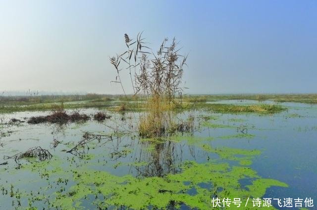 河南被埋没的湖，有“人造洞庭”美誉，是中国人工面积最大的水库