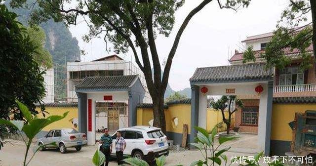  旺宅@农村房前不能乱种树，明白人种这3种，可以“旺宅”，你种