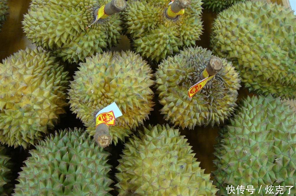 水果之王榴莲，在泰国滞销，竟说是中国游客的错