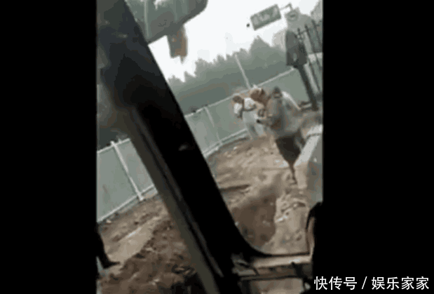 广东工地现场小伙一个人干活八个领导盯着 网