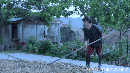 李子柒是怎么能红的