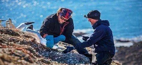 世界上最特别的小岛，明明无人居住，可岛的海拔一年却升高3米！