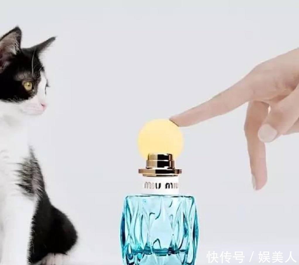  [香调]超适合春夏季节的5款香水分享，都是很经典的大牌香水！