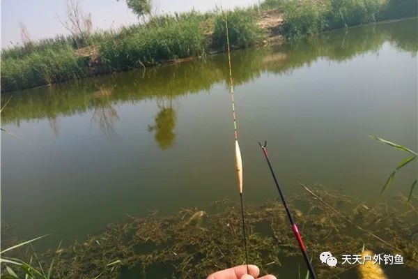  万能@调漂技巧之带饵调漂：最万能的调漂方法，最多的双饵在水底的状态