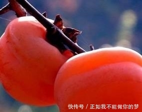  #果子#庭院种此“果树”，插土就能活，果子摘不完，味道甜如蜂蜜