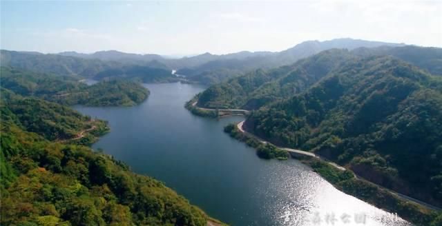 重庆彻底火了！又拿全国第一，网红城市当之无愧！