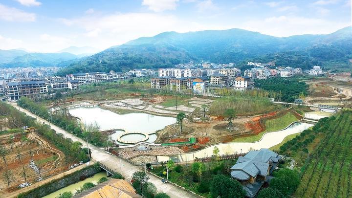 一株“仙草”带动绿色蝶变 乐清大荆石斛产值超20亿元