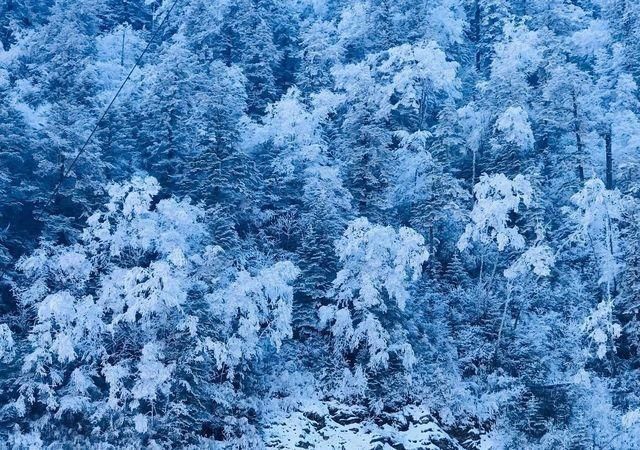 飙拢“川西咽喉”耍雪，打卡无边池的网红云海，元旦就去这！