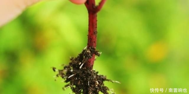  「害怕热」露天阳台，爱上一点颜色的季节