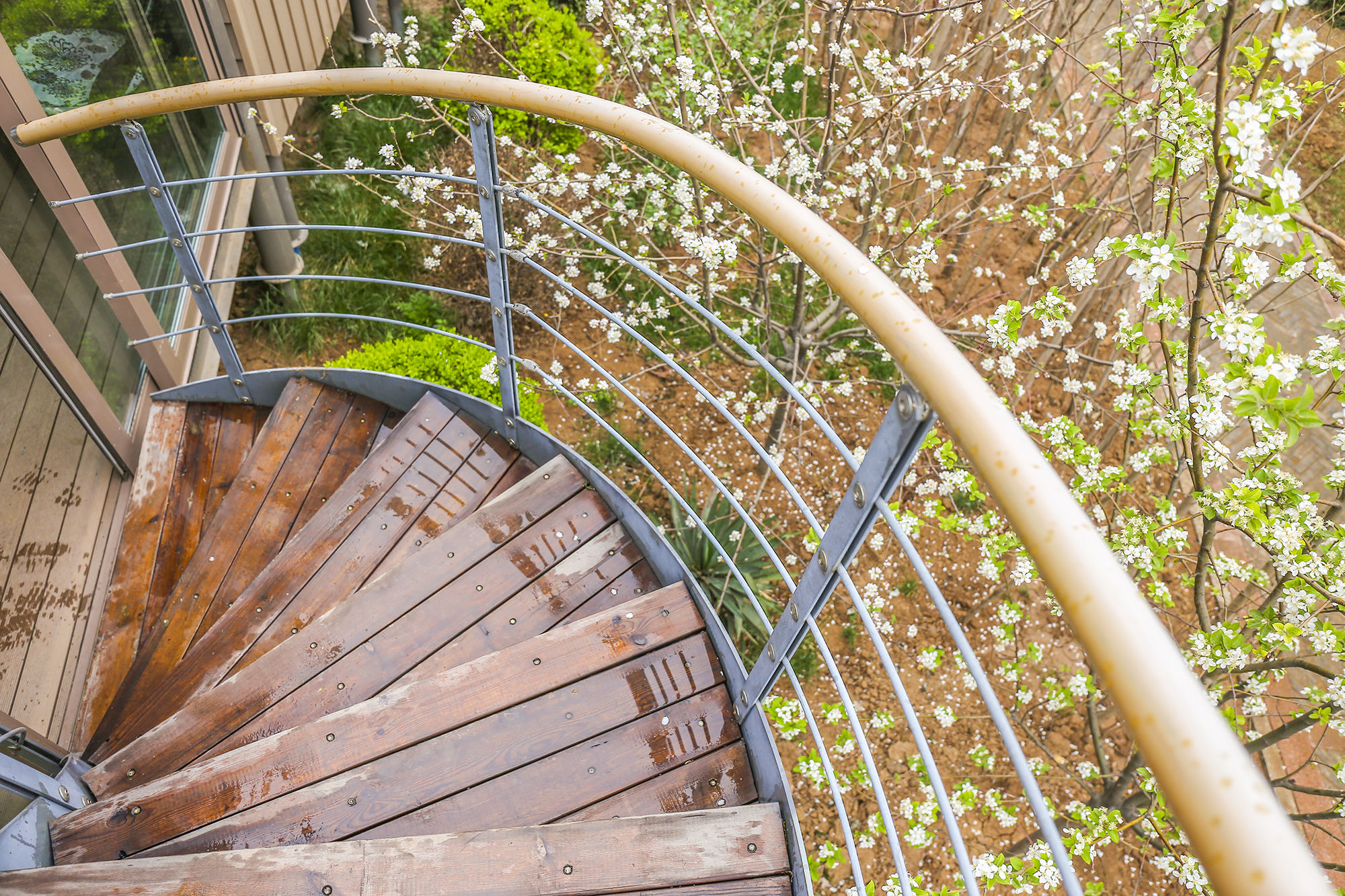 东营丨走过沧海桑田，终是在芦花飞雪的秋日遇见你