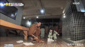 孩子是父母背后的