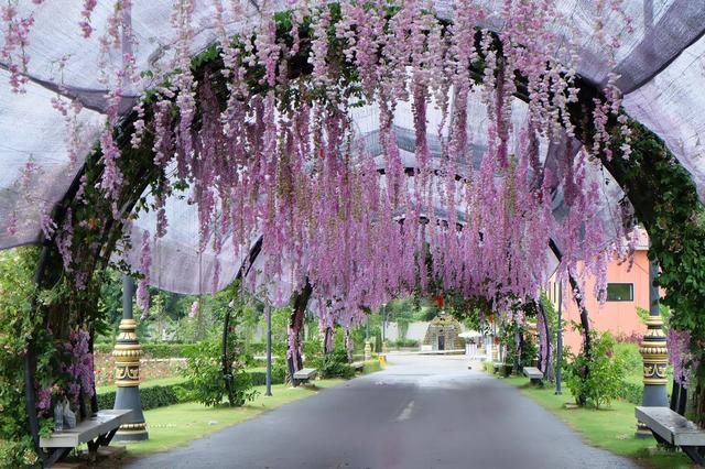 周末也能去一趟的旅行地!比曼谷好玩十倍,绝美风光堪比新西兰!