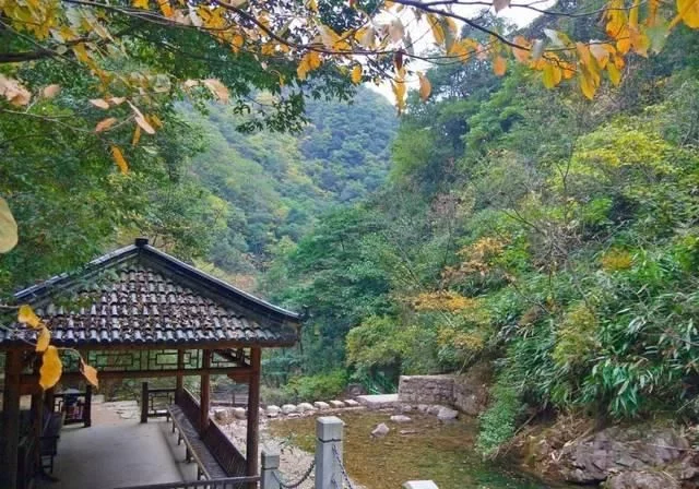 春天深呼吸,安吉来“氧”你!2020年三八女神节,可以来安吉旅游啦【2020热门旅游景点】