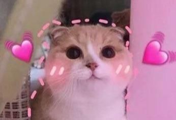  服务员：“拉面套客人脖子上了！”服务员辞职理由，哈哈哈哈笑到捶床