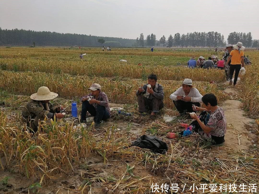 现在农村出一个新职业,一天就能挣200多,比打