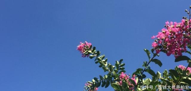 云台山踏秋——立秋后的那一抹姹紫嫣红