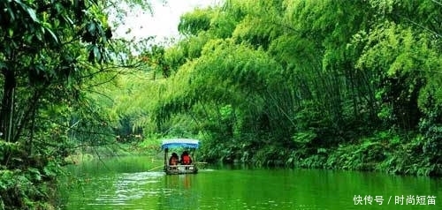 中国“最壮观”的竹林在四川!竹子达到400种?是卧虎藏龙取景地