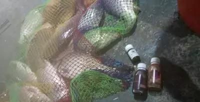  夏季：夏季要钓好鱼，这些钓鱼小技巧不能少，学会了新手也钓得到