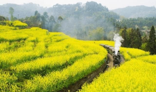 国内最美的三趟火车，游客宁愿永不下车，沉迷在童话中的梦