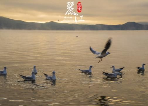 云南旅游攻略：冬天去丽江泸沽湖，有什么可以玩的？