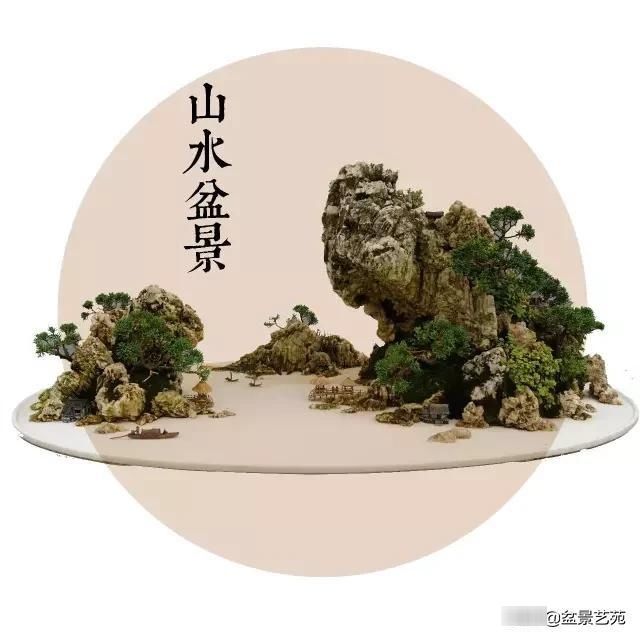  「成寸」盆景百态，缩地成寸