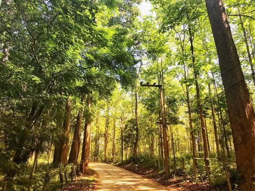 2175米高山上洞穴众多，藏有无数佛像，曾是隐士修炼场所