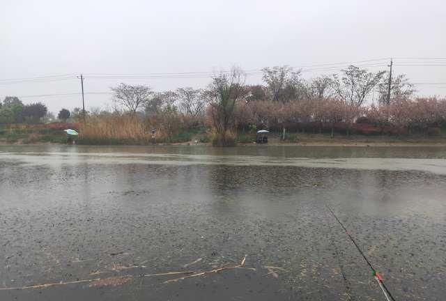  #气温突降#近几日天气突变！水温降、产卵停，重返大鲫、大鲤垂钓黄金期
