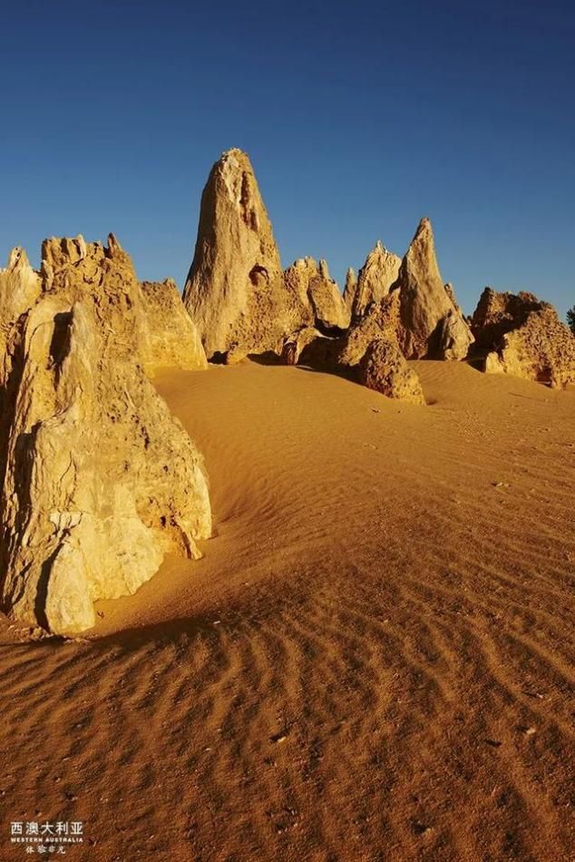 2020年最大的心愿