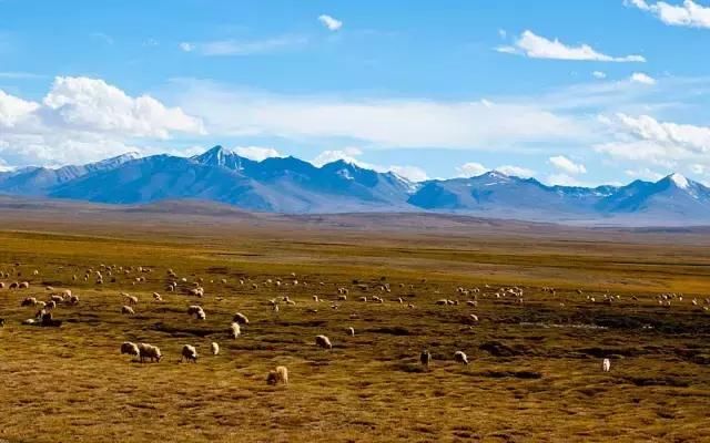 川藏线10日寻梦之旅，可以说是人类“最后的秘境”（内附线路）！