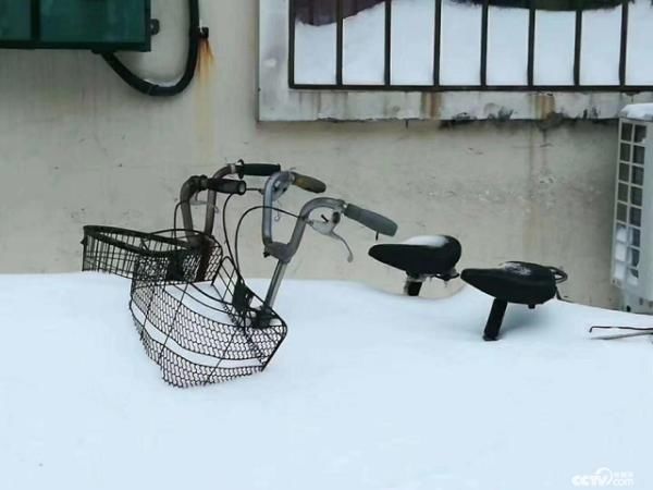  『入冬』辽宁为何一秒入冬，啥前儿能结束？官宣来了