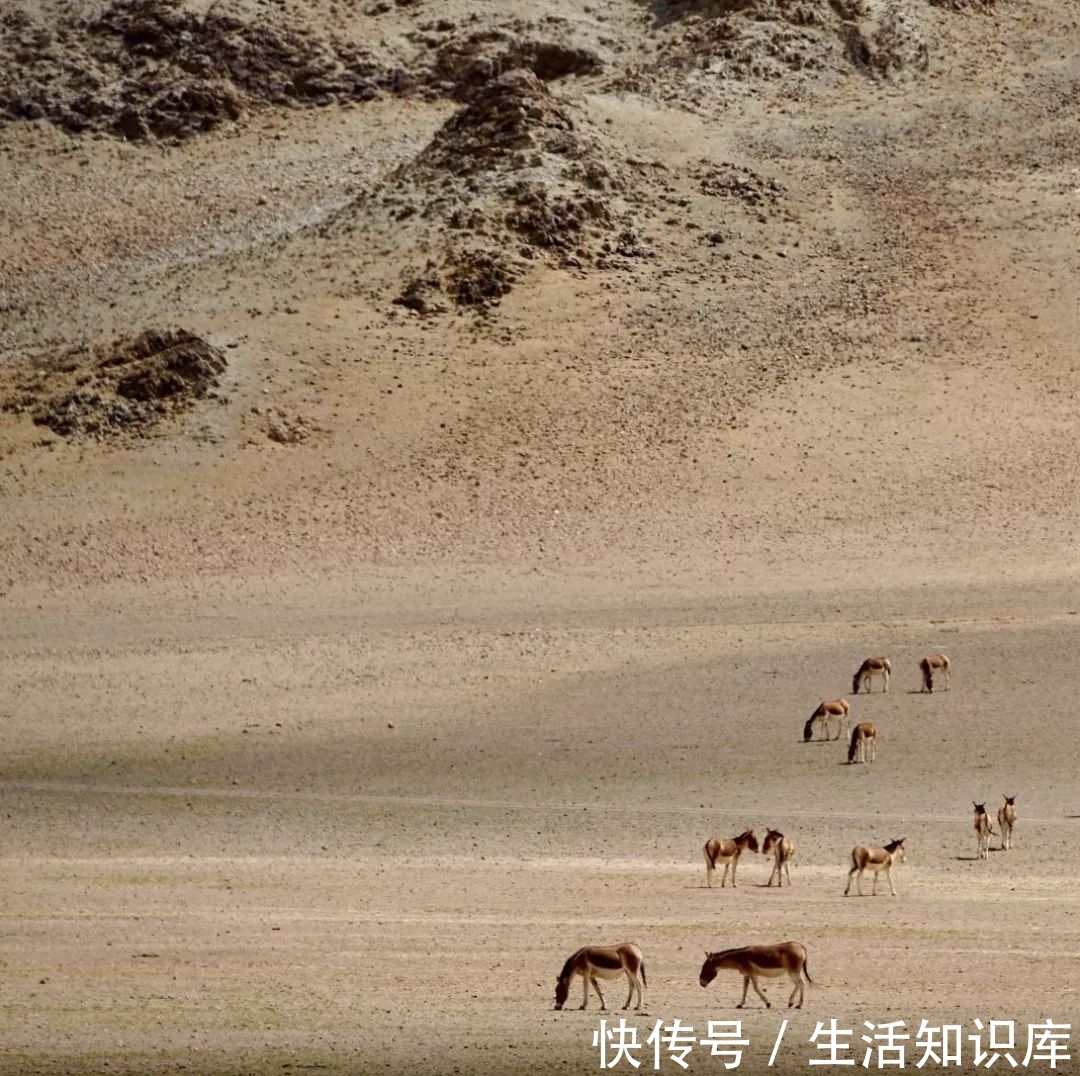 新疆西藏这4条自驾线去过才不枉此生！