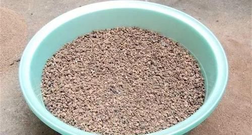  『图片作者』栀子茉莉千万别用这种土，养一盆死一盆！