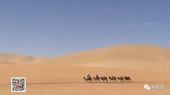 沙漠里养鱼见过吗?还不快来长长见识!