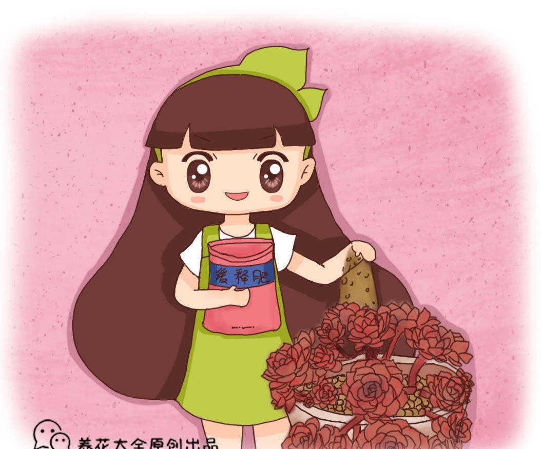  『吃饱』春天给花“喂口肥”，一次吃饱了，一整年都不缺肥