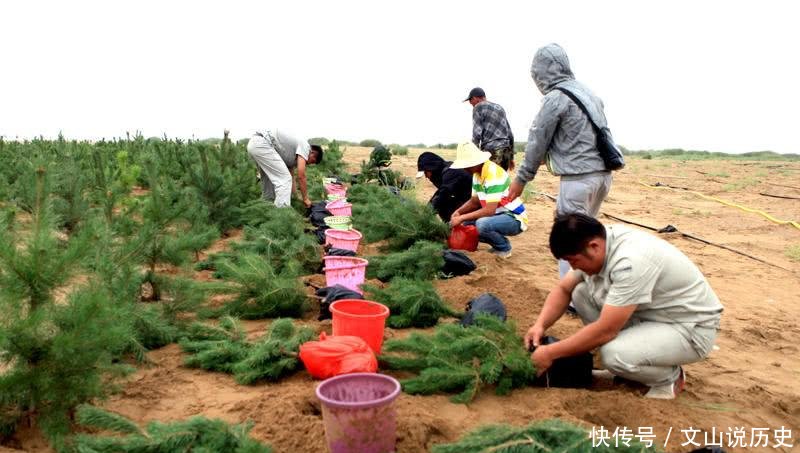  唯一：世界上唯一沙漠变绿洲的地方, 中国人再次向世界证明“奇