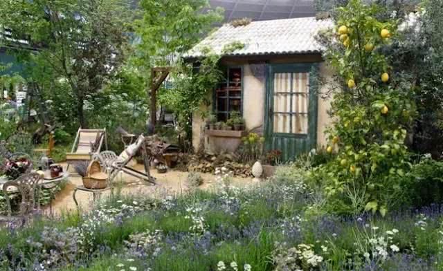  「养花」等我们年纪大了，回乡下，开辟院子，种菜养花